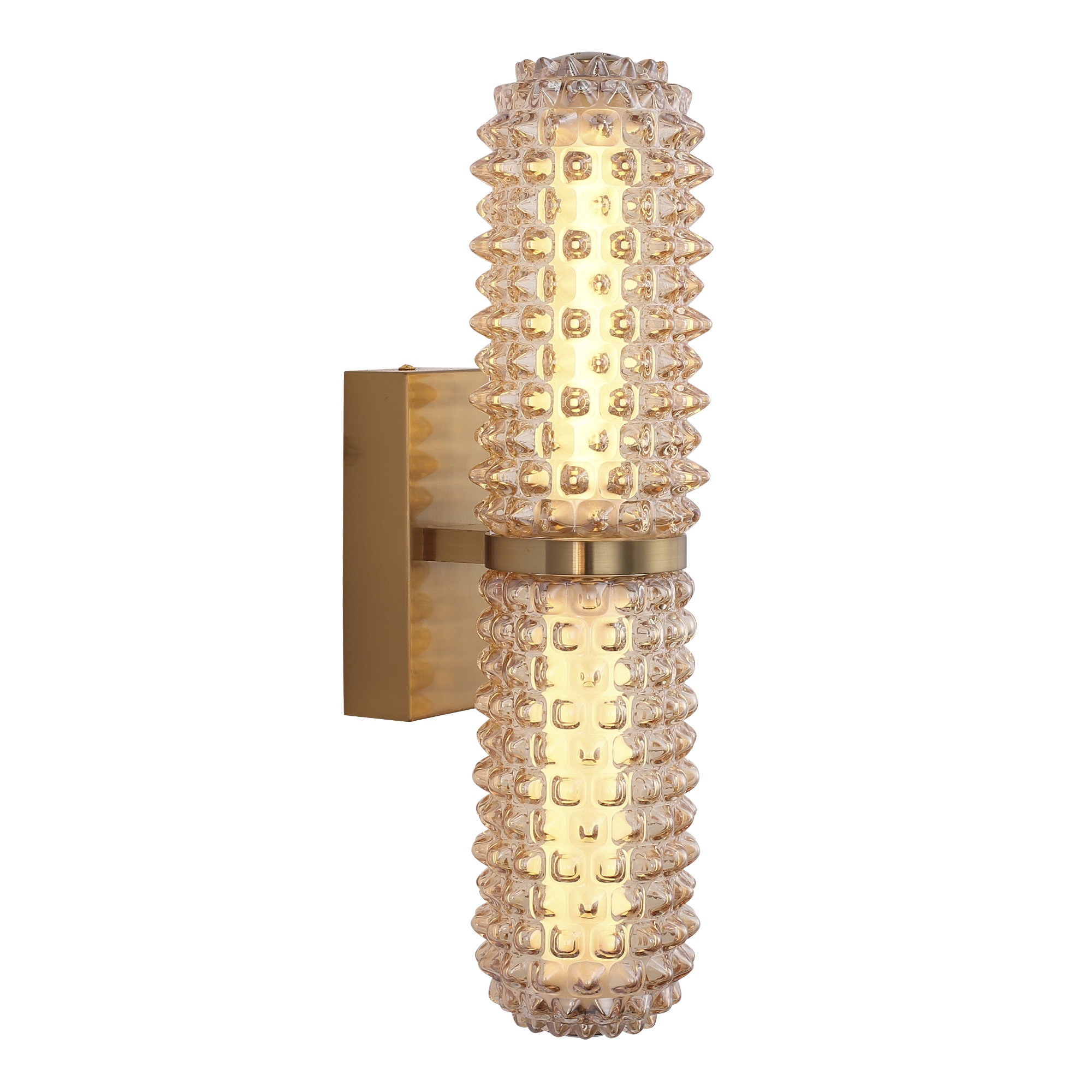 Настенный светильник ST Luce Saguaro SL6144.301.01